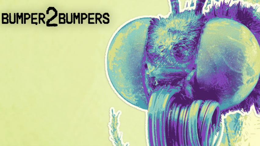 Mosquito Bump | Bumper2Bumpers